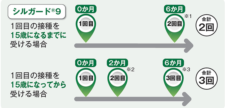 シルガード接種スケジュール